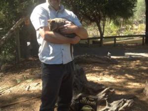 Meet Jonathan and the Bettong