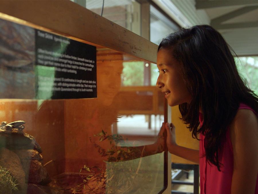 Student looking at a lizard at Cleland, one of our Learning Destinations.