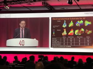 Dennis Lau presenting in AF Summit HRS 2019