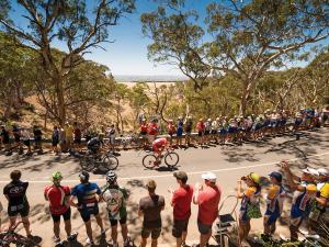 Tour Down Under, Stage 5 - McLaren Vale to Willunga Hill