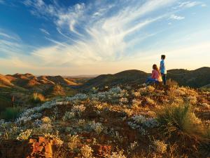 Yacca Lookout, Willow Springs Station, Flinders Ranges