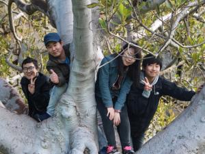 ELC students climbing a tree