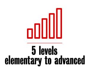 5 levels - elementary to advanced