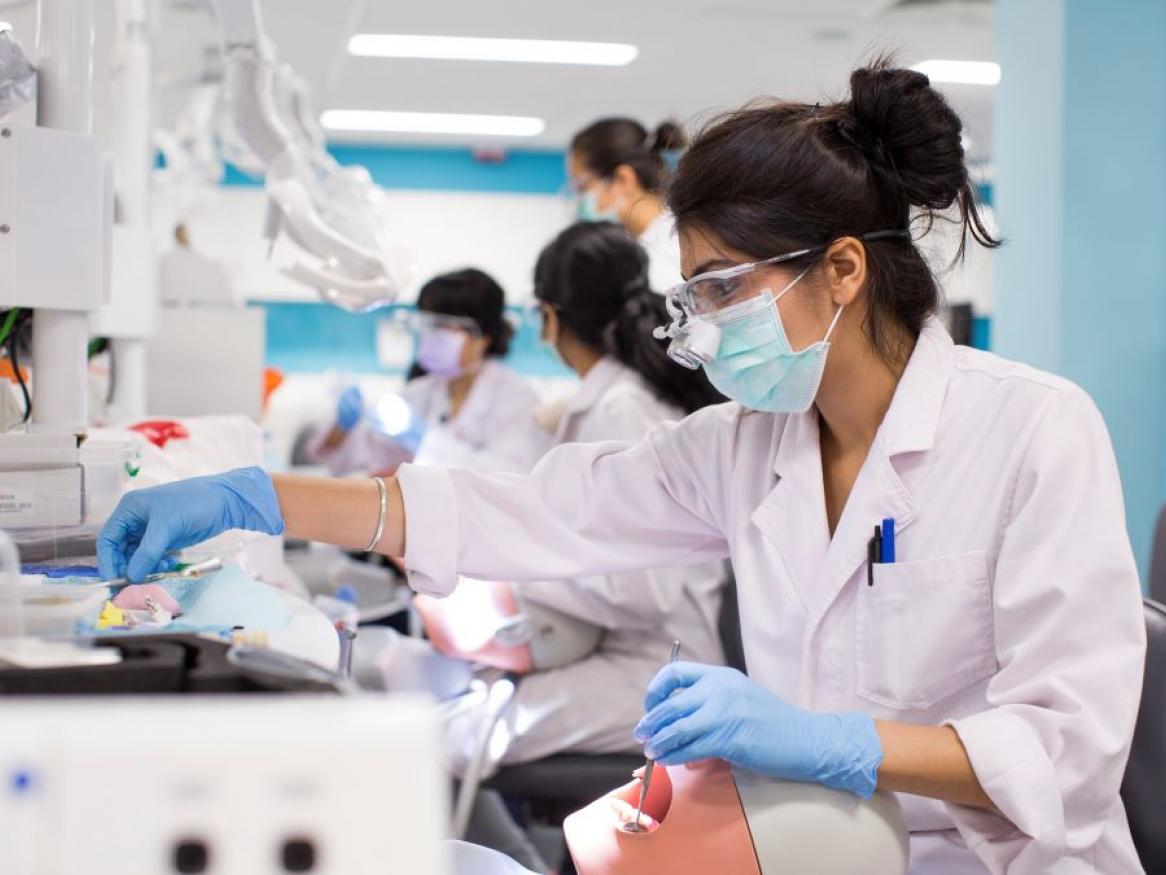 Student practices dentistry on a model