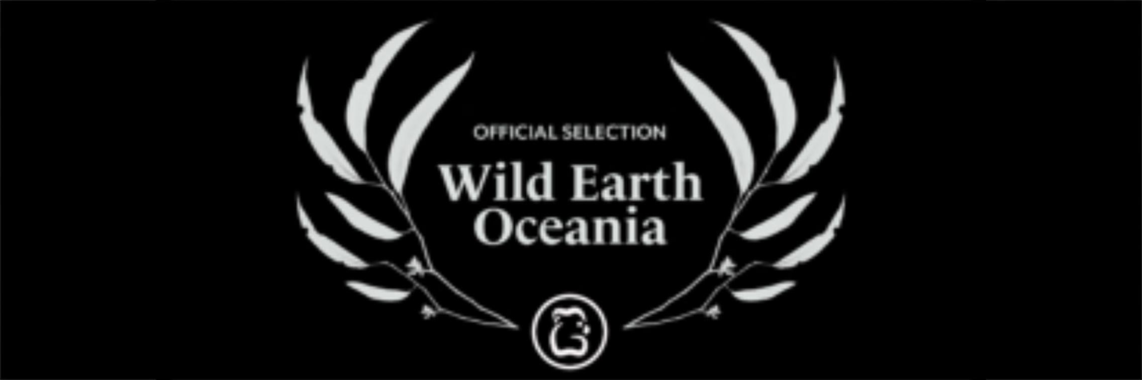 WEO Film Festival