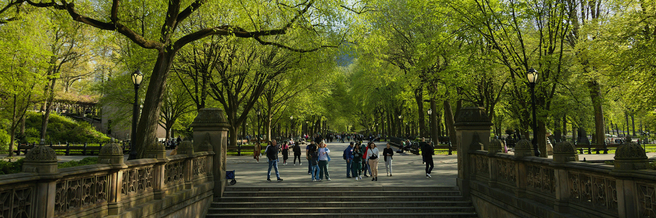 Urban Park Sam Jonathon Sutharson
