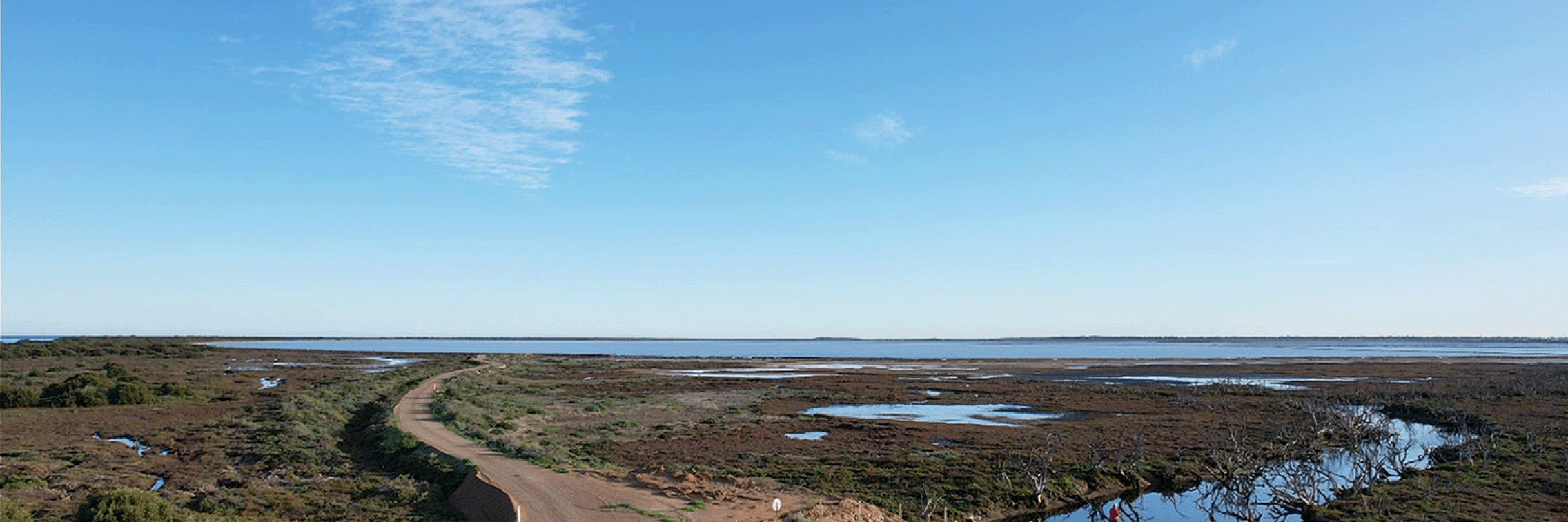 Dry Creek saltfields pilot blue carbon project_drone imagery_road and tidal gate 2022_credit Emily Leydon_1