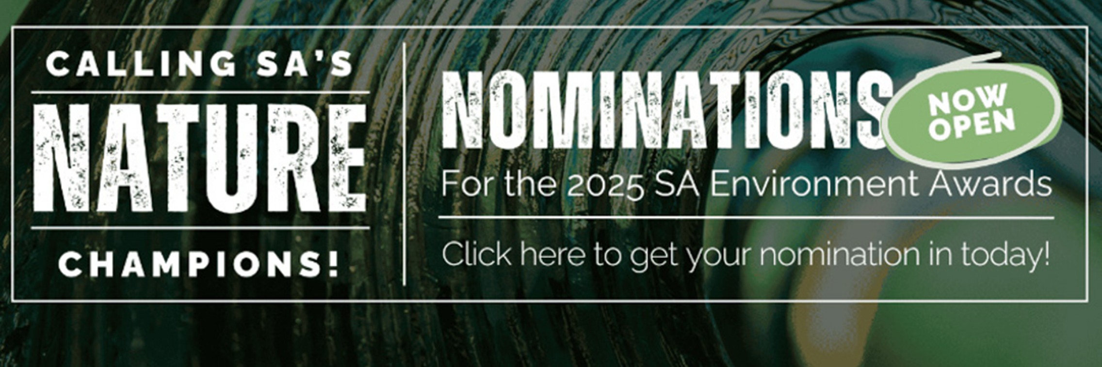 environment awards