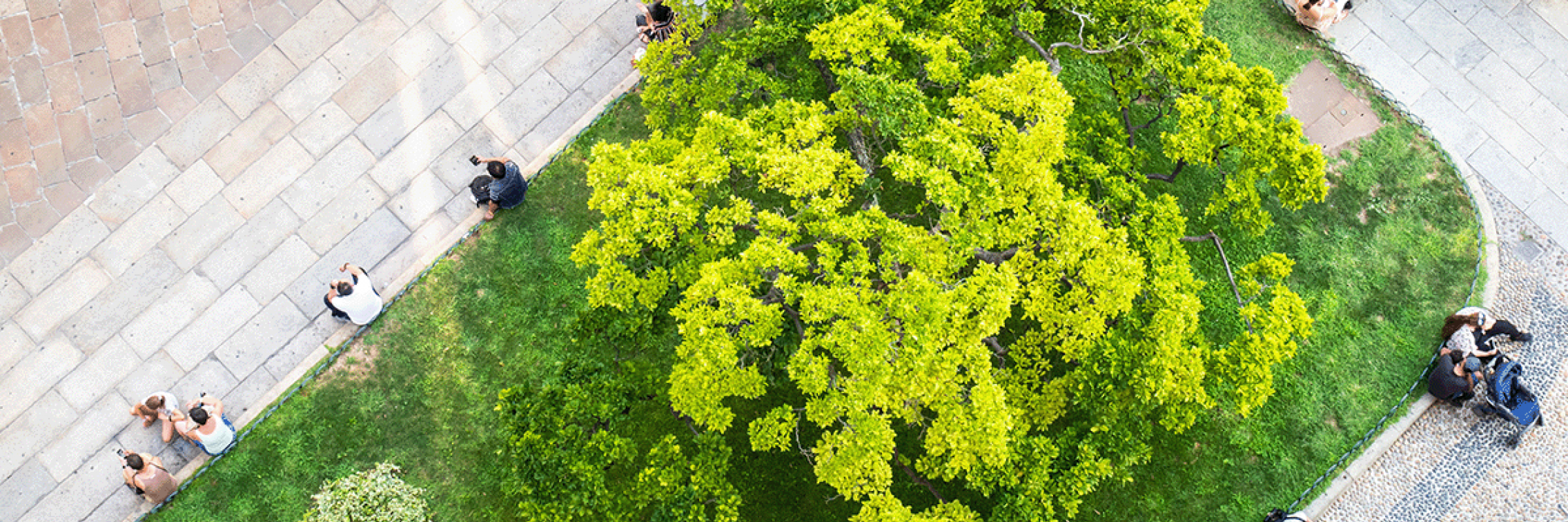 Green Space Park