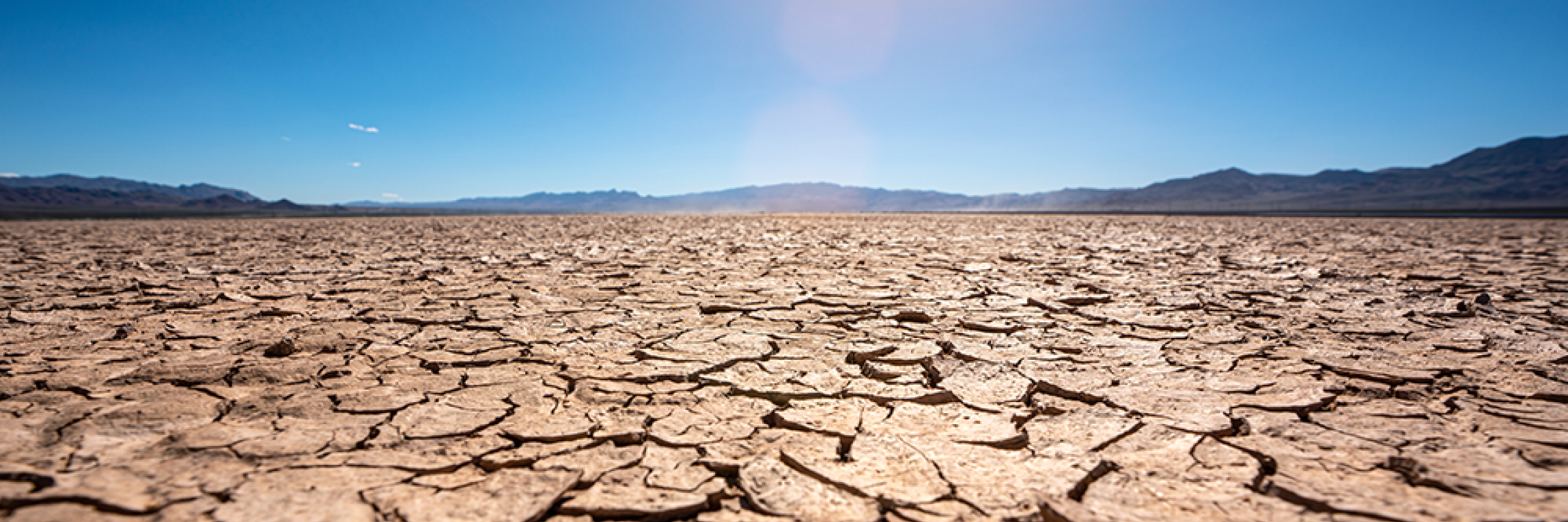Drought