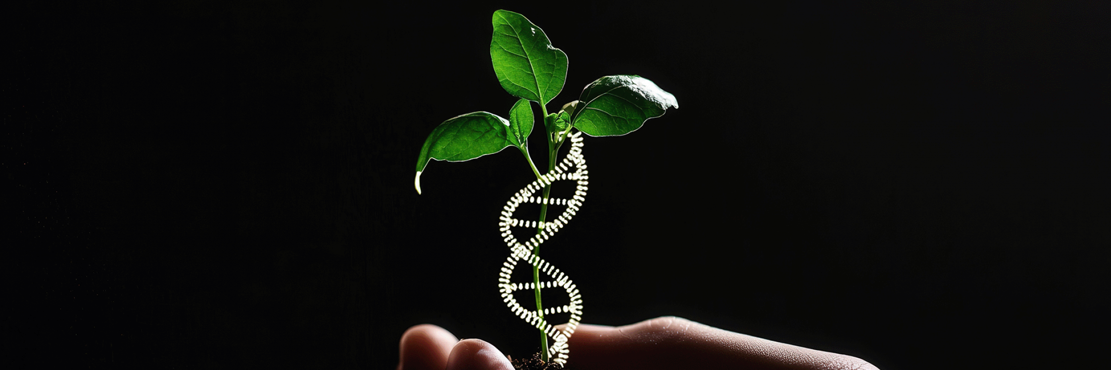 Introducing Environmental DNA (eDNA)