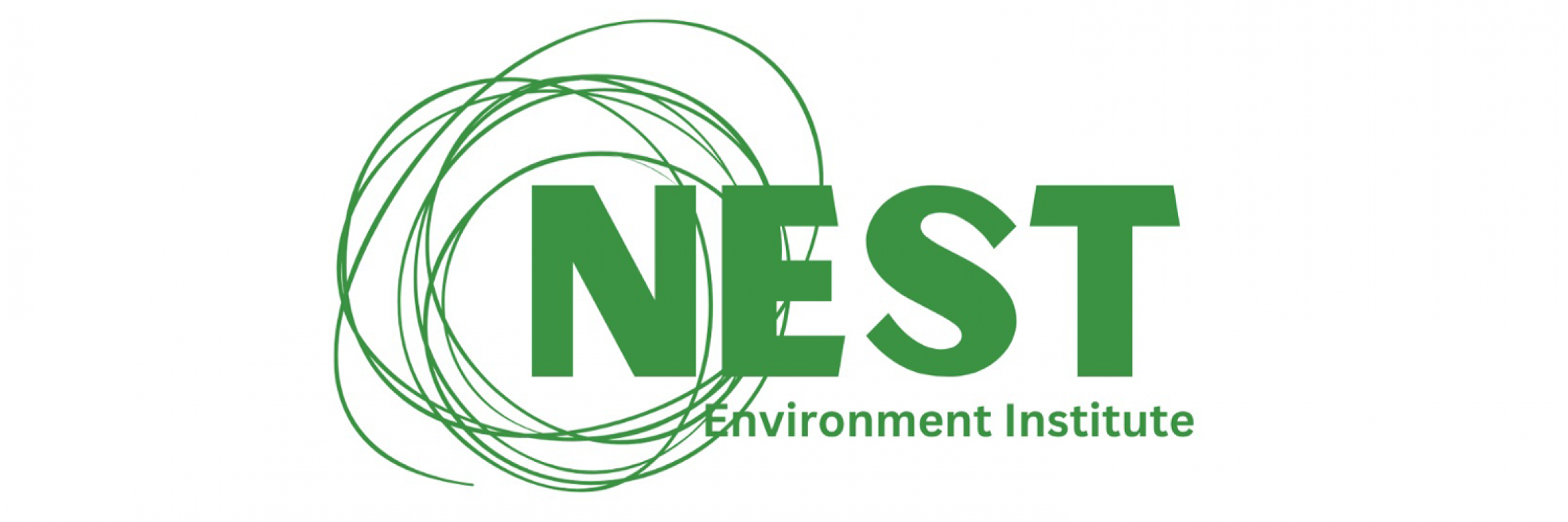 NEST banner logo