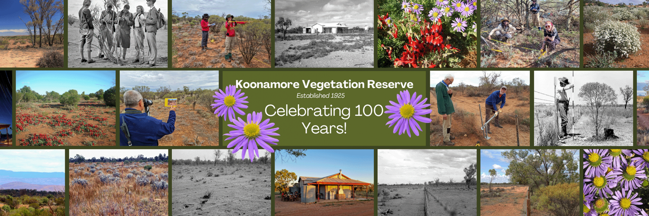 The Koonamore Project