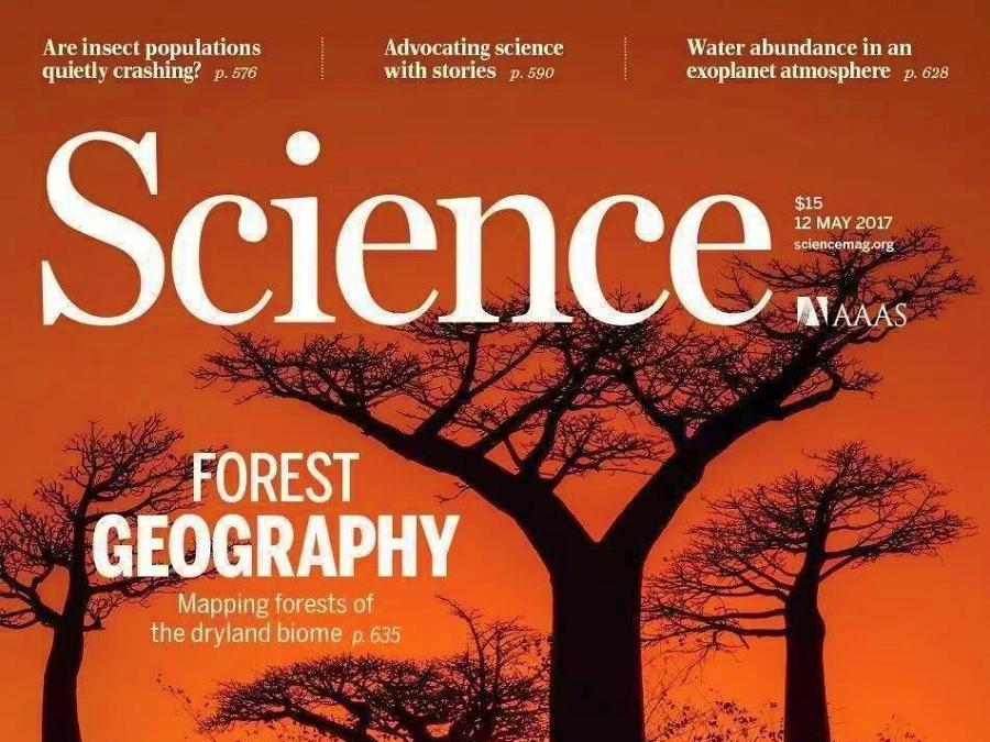 Lost forests in Science