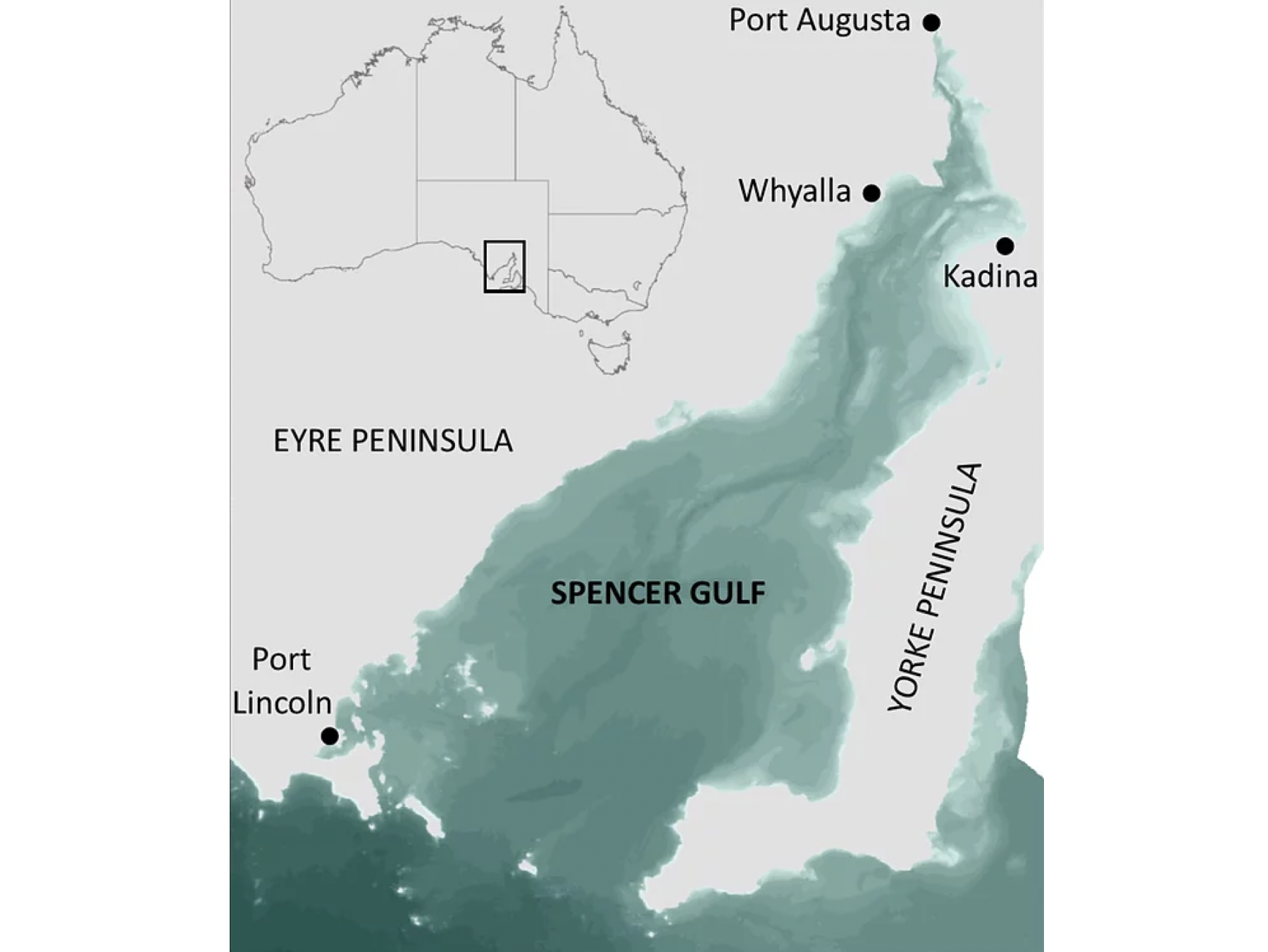 Spencer Gulf