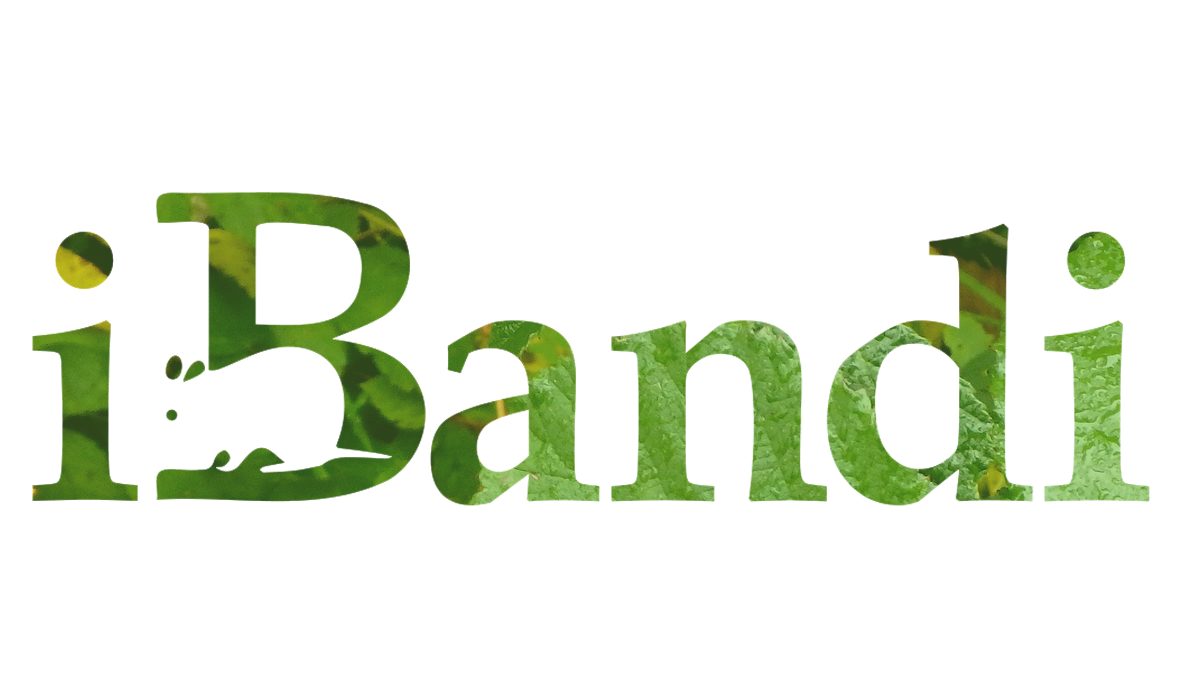 iBandi logo