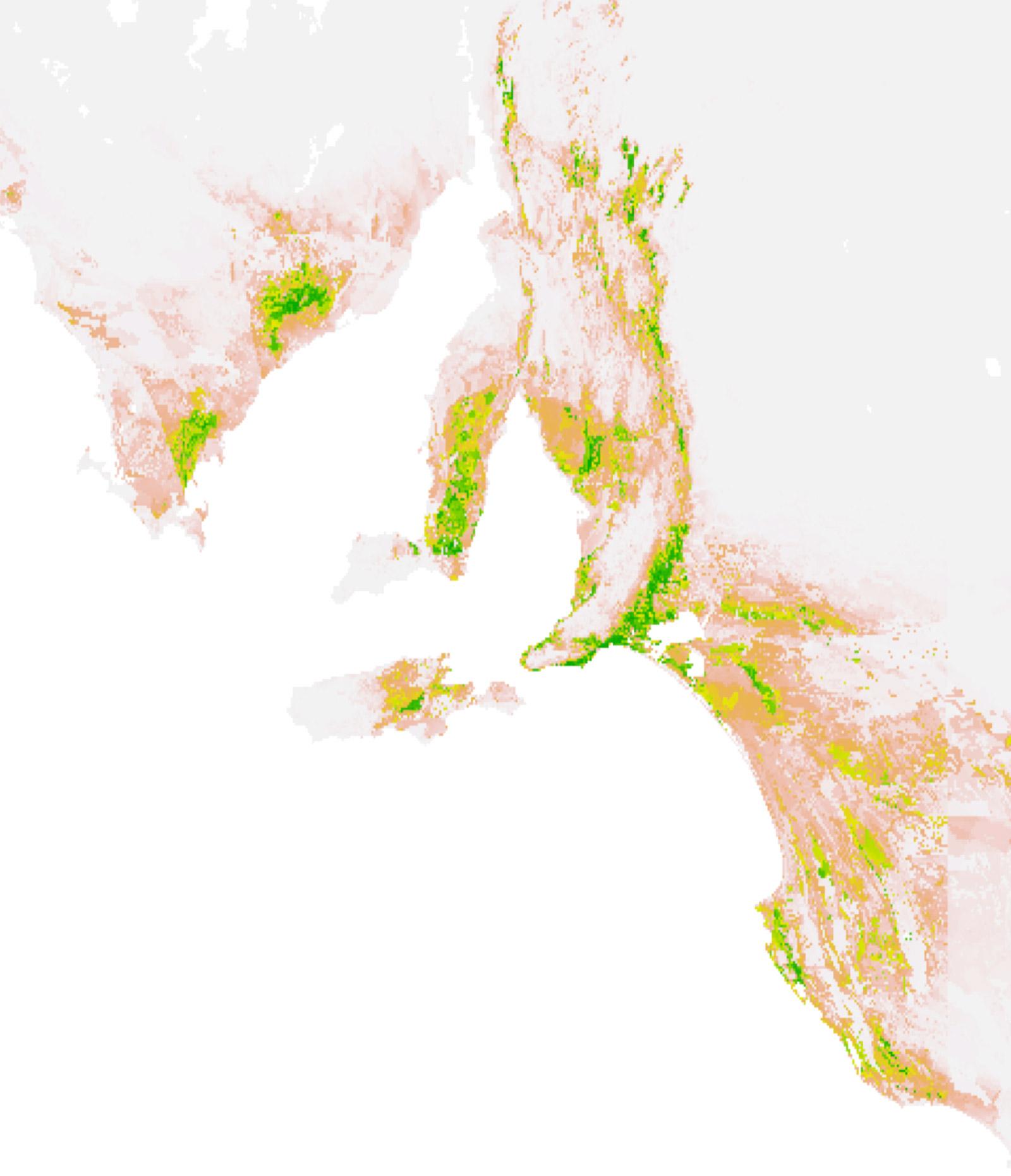 Silver Daisy map - Greg Guerin