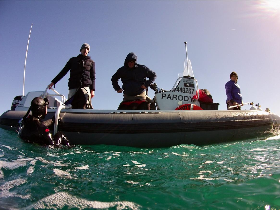 Boat used in oyster count