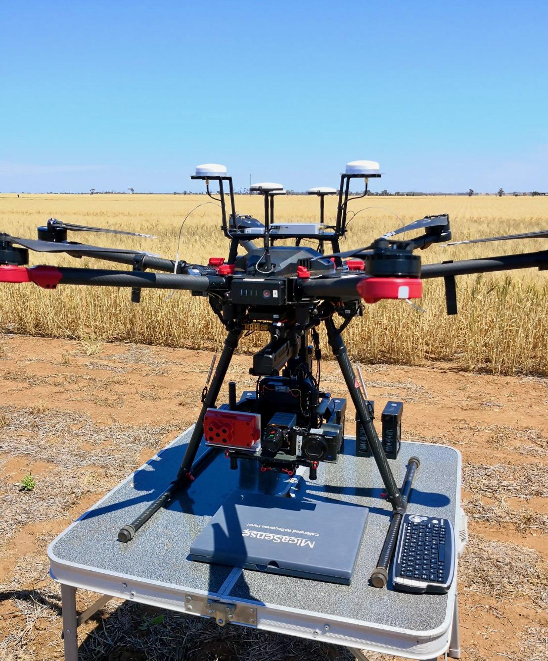Drone in paddock