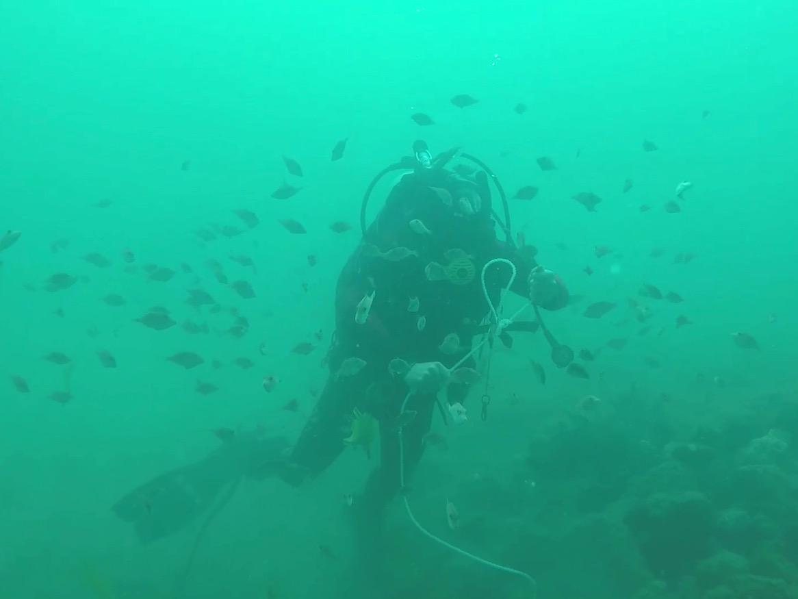 Sean Connell at Windara Reef