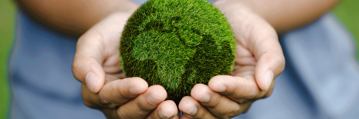 Hands nurturing earth