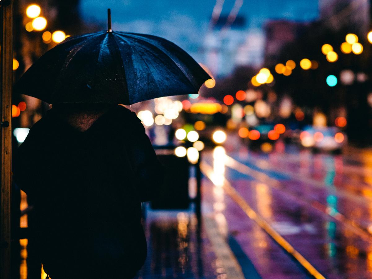 Our researchers are working with councils to find stormwater solutions