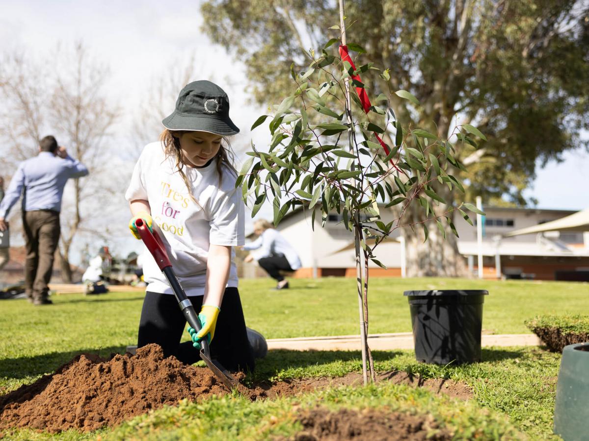 Picture of school child digging