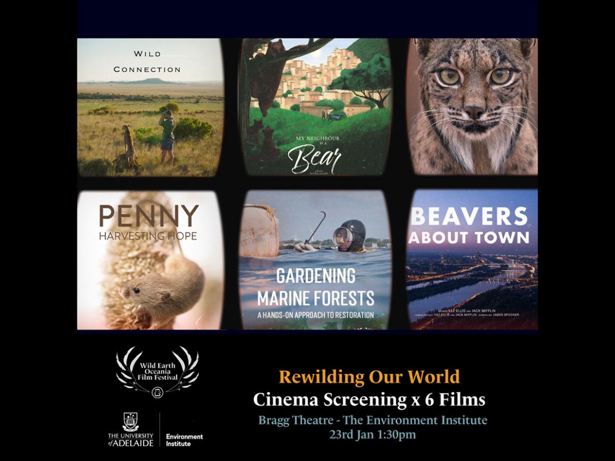 Rewilding Our World