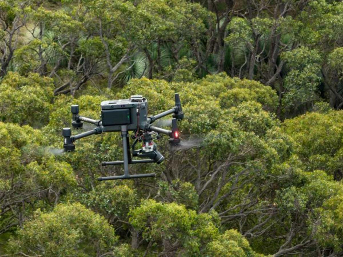 Drone