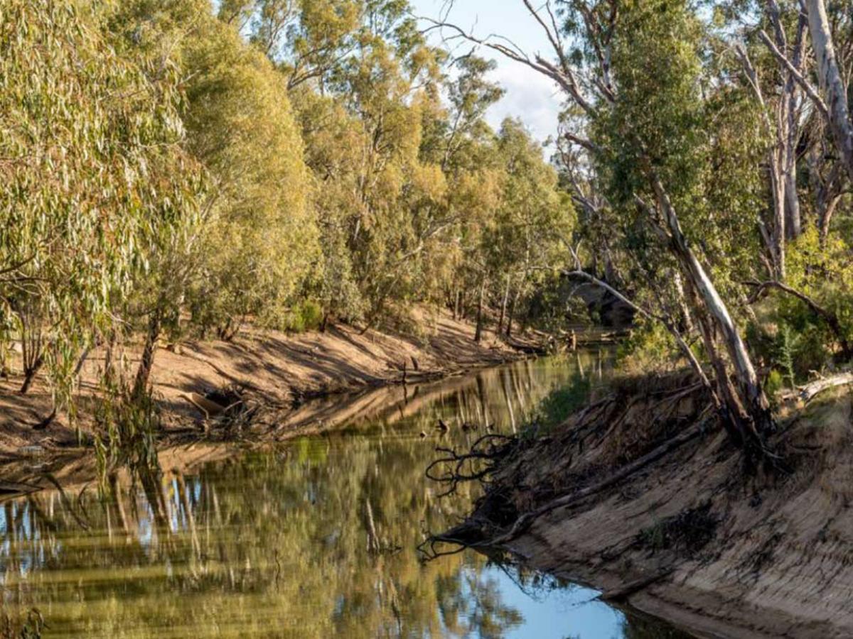 River ecosystem