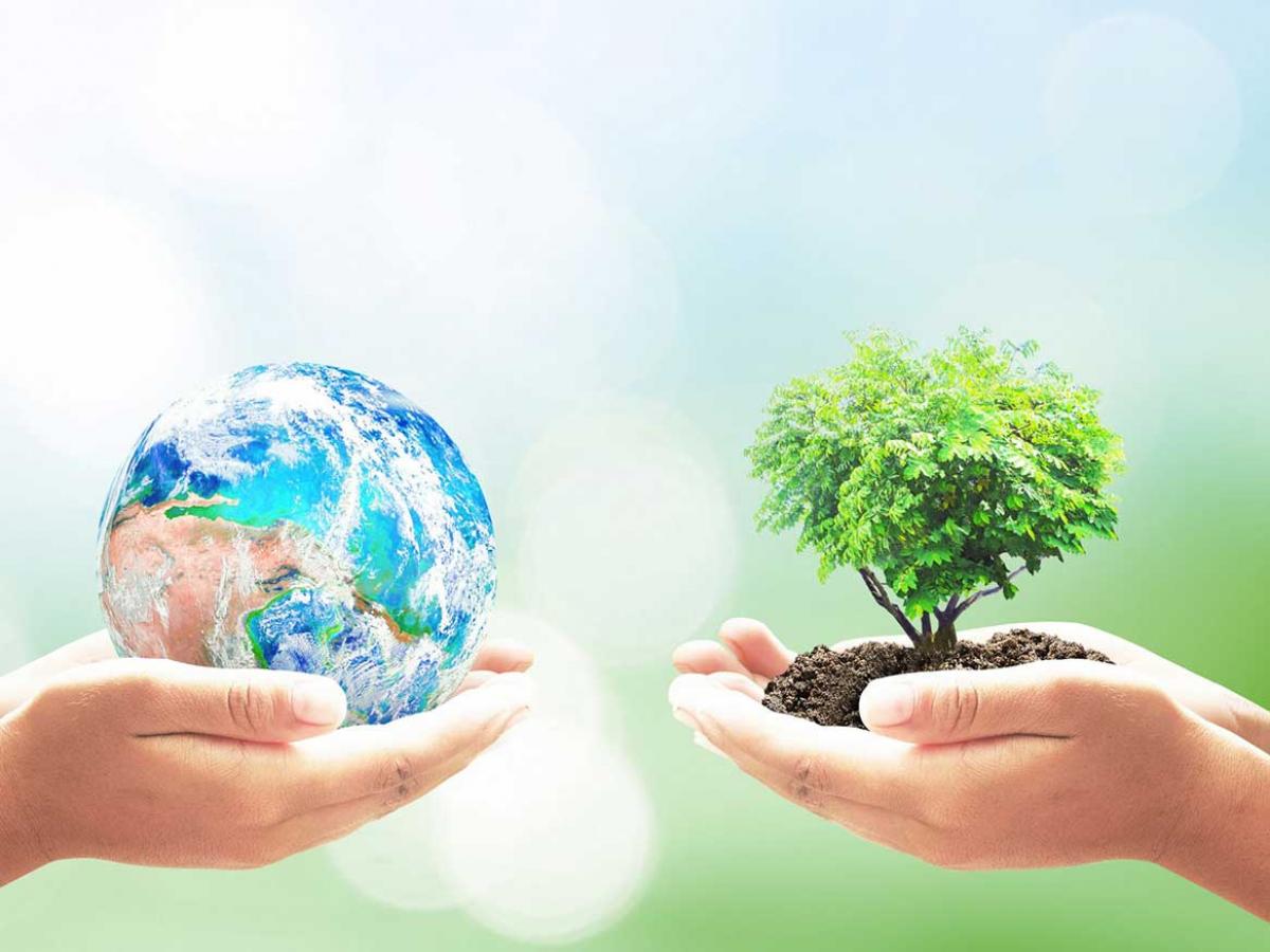 Two pairs of hands, one holding the Earth, the other holding a tree in soil