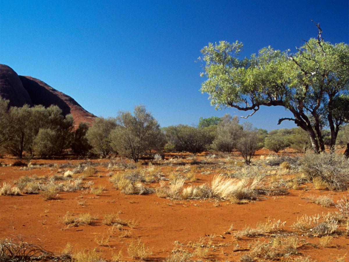 Arid recovery
