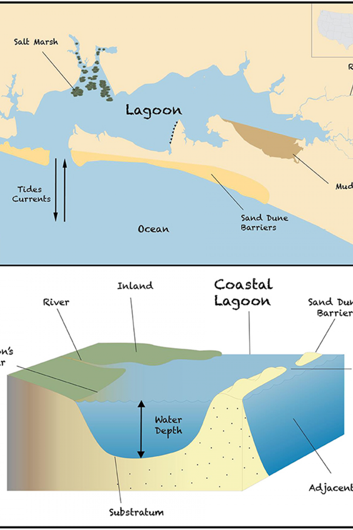Coastal Lagoon Mahrad et al. 2022 (Frontiers for Young Minds)