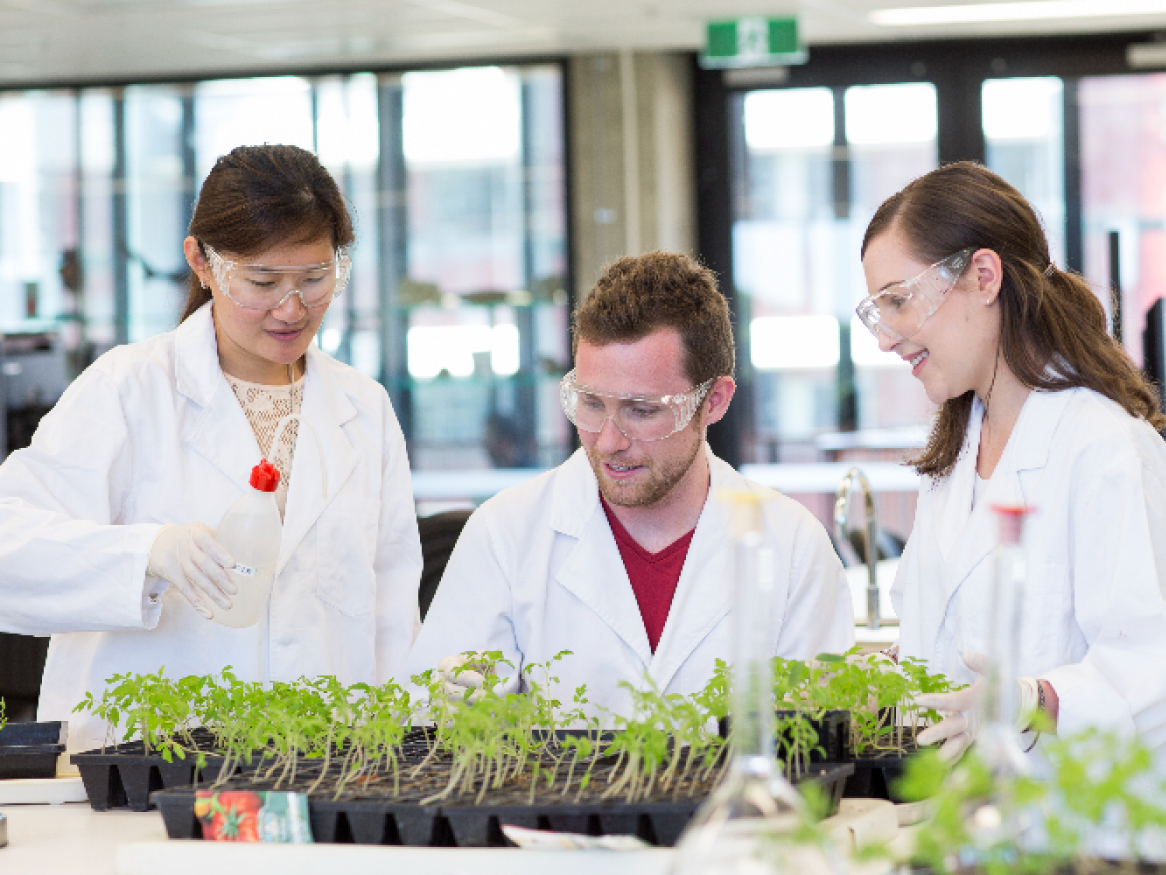 Picture of undergraduate students in lab coats