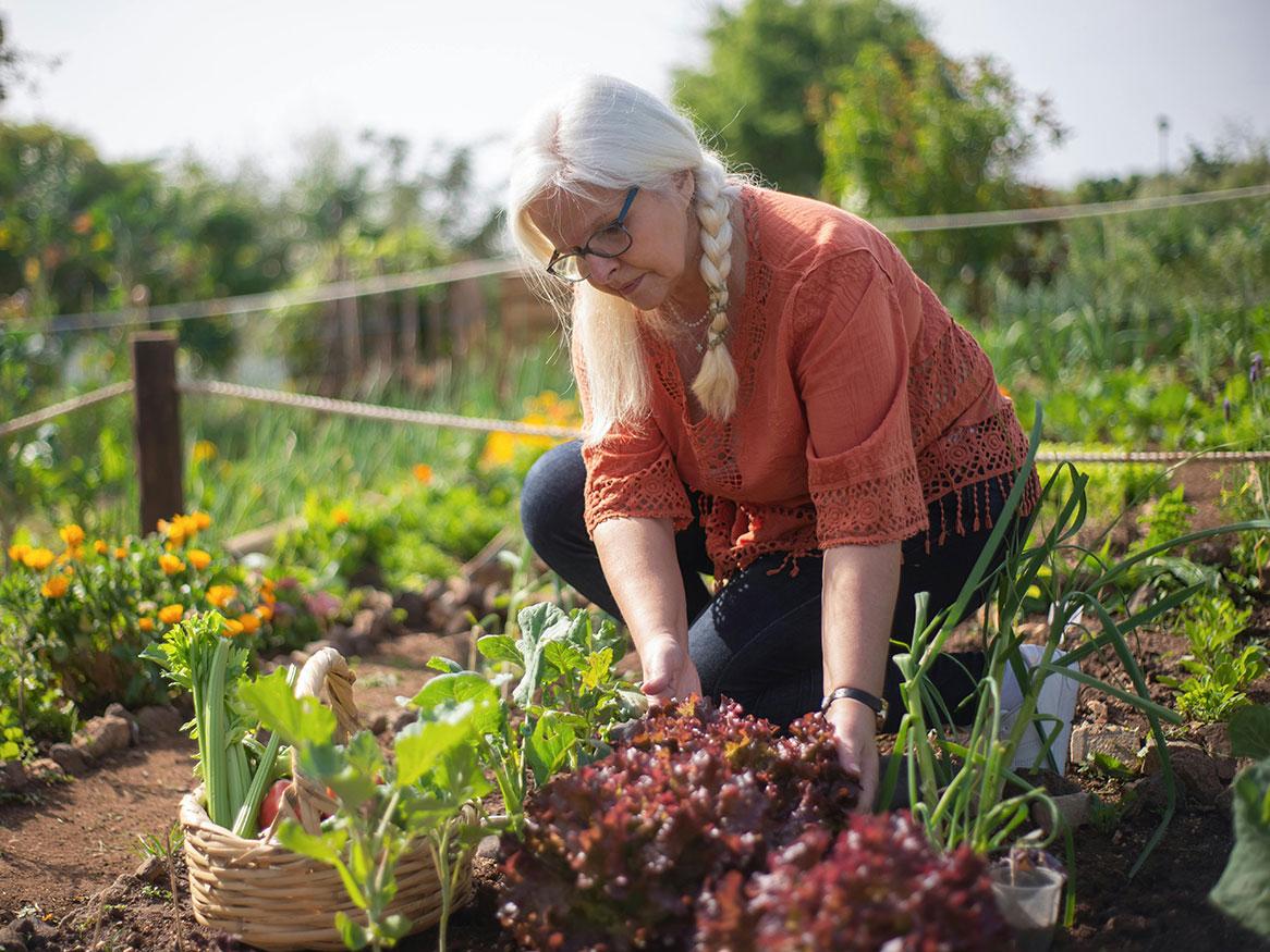 Scientists seek your soil for century-chemical study