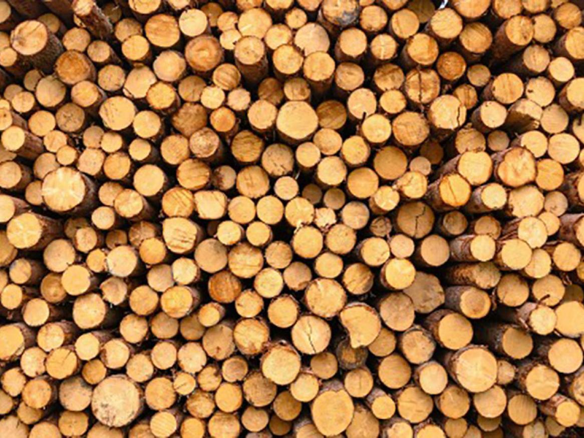 Timber