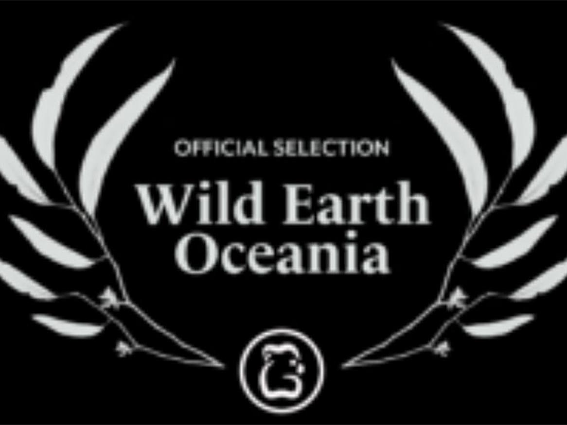 WEO Film Festival