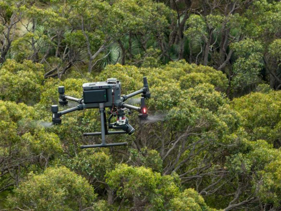 Drone