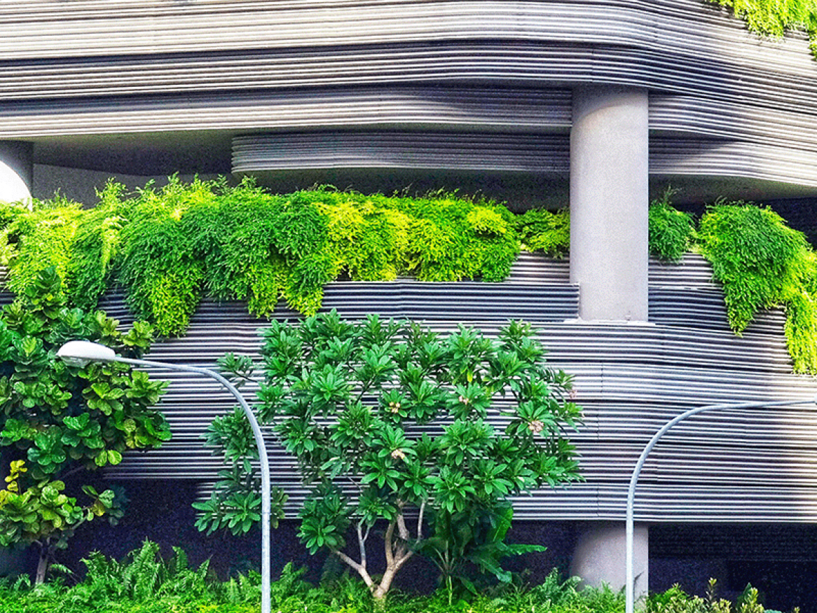 Green Spaces in City by Danist Soh
