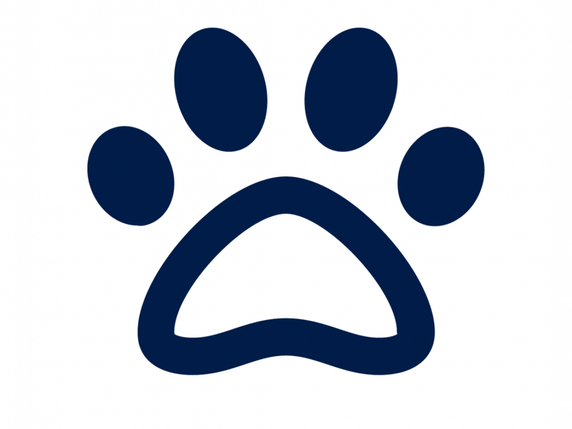 Combatting Environmental and Wildlife Crime