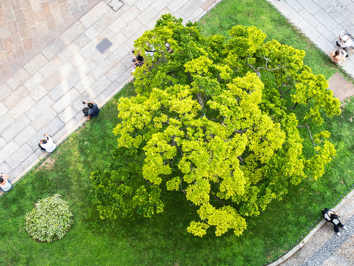 Green Space Park