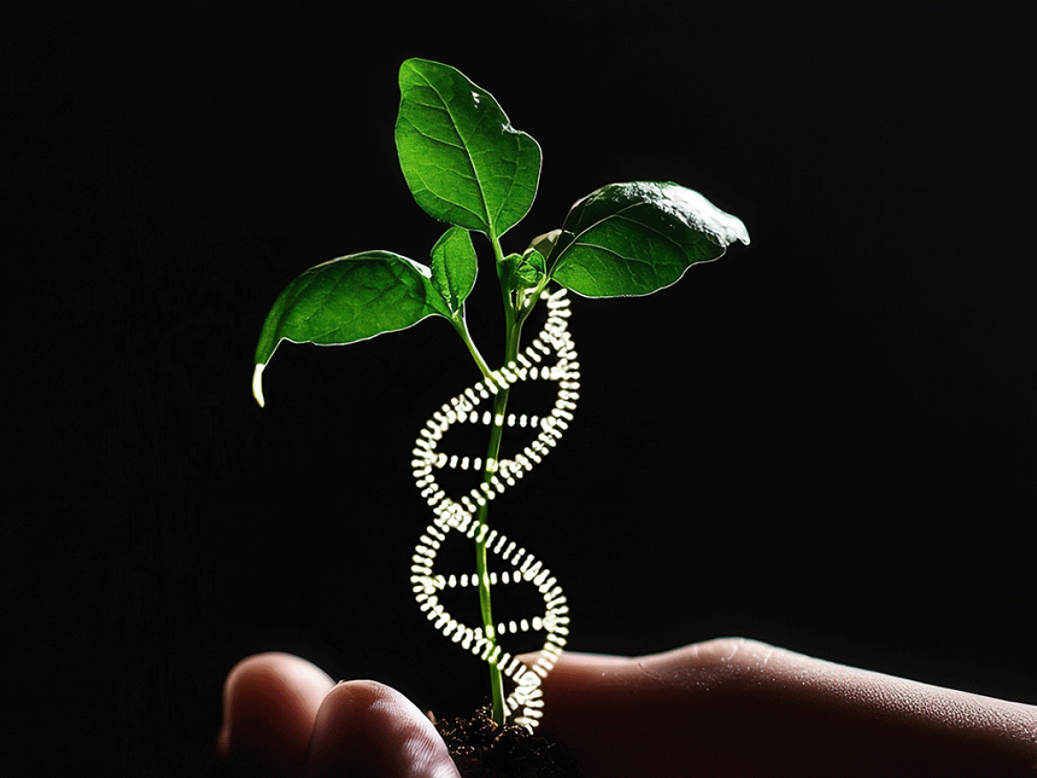 Introducing Environmental DNA (eDNA)