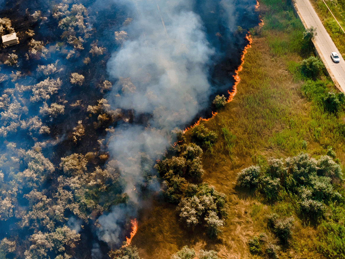 Australian Bushfire