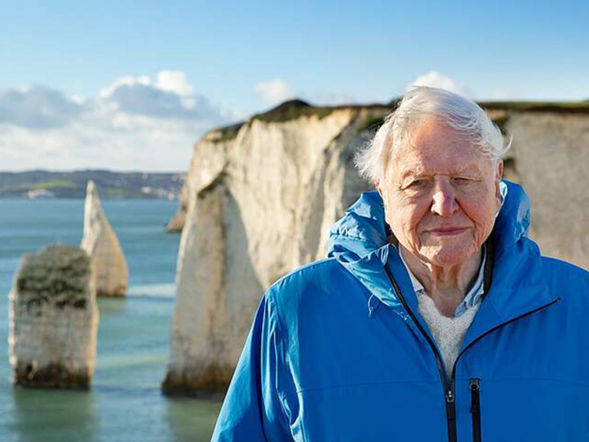 Sir David Attenborough Ocean