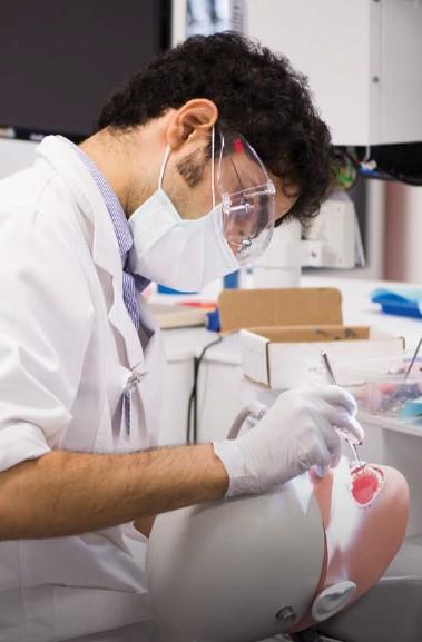 Dental School Development Plan