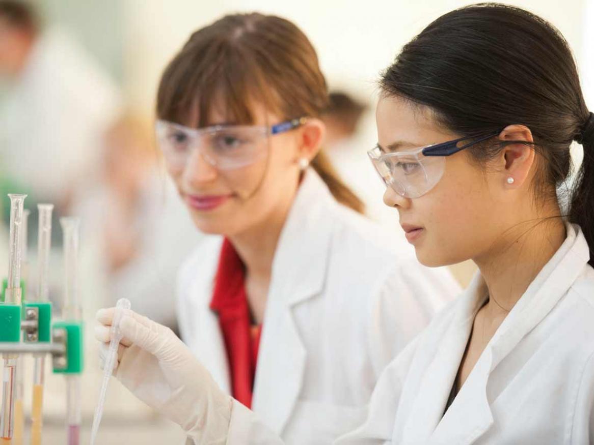 A photo of researchers in the lab