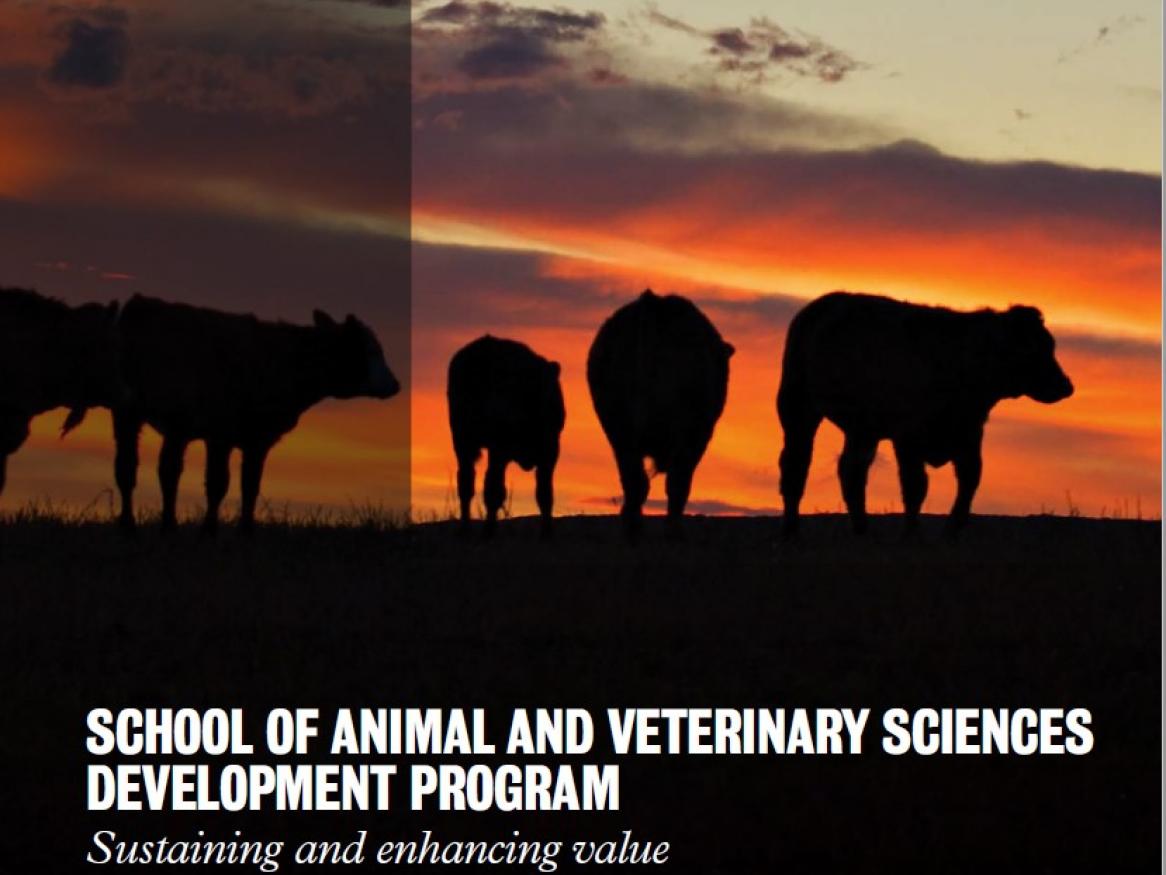 Animal and veterinary sciences Development Plan