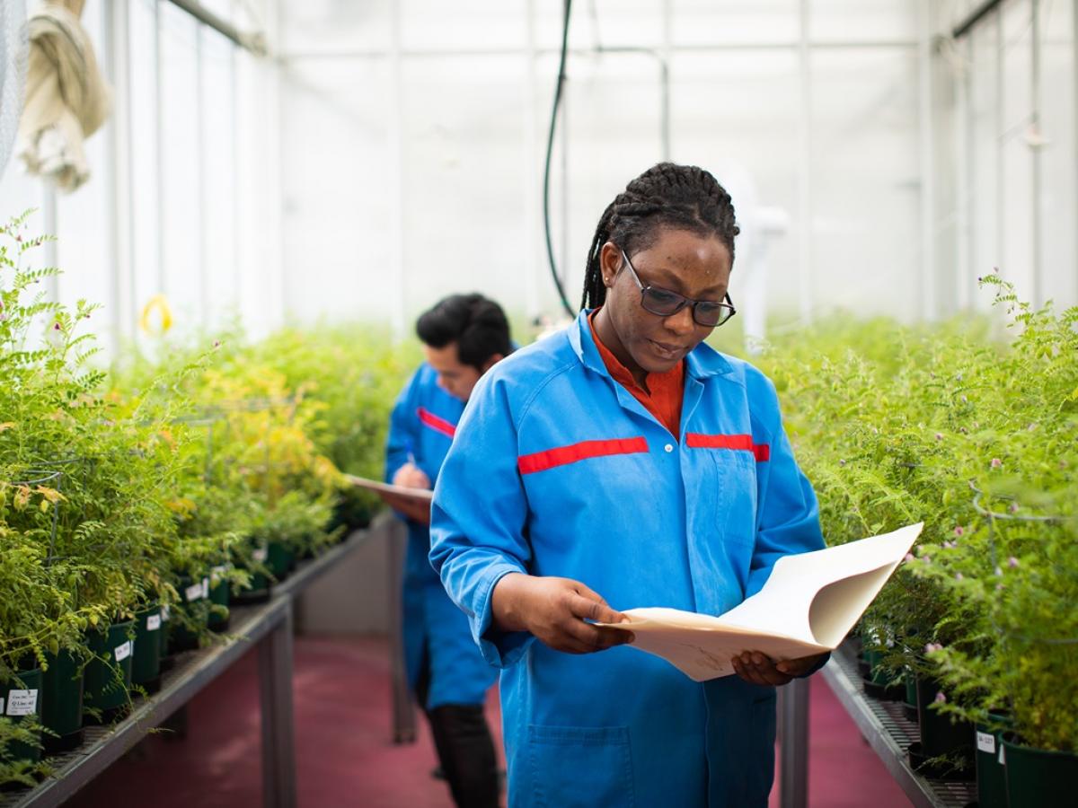 Waite Campus plant accelerator