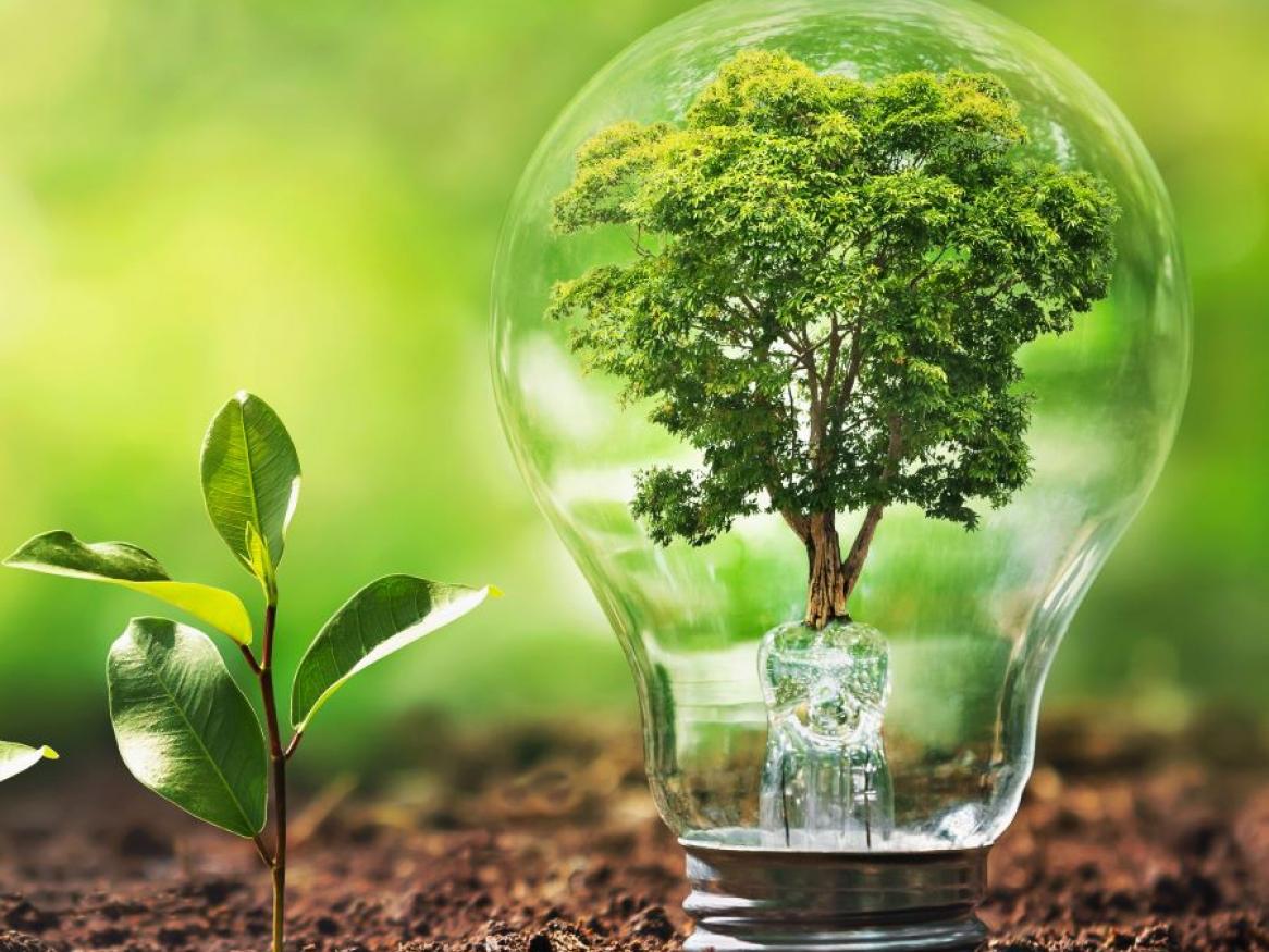 Seed Funding