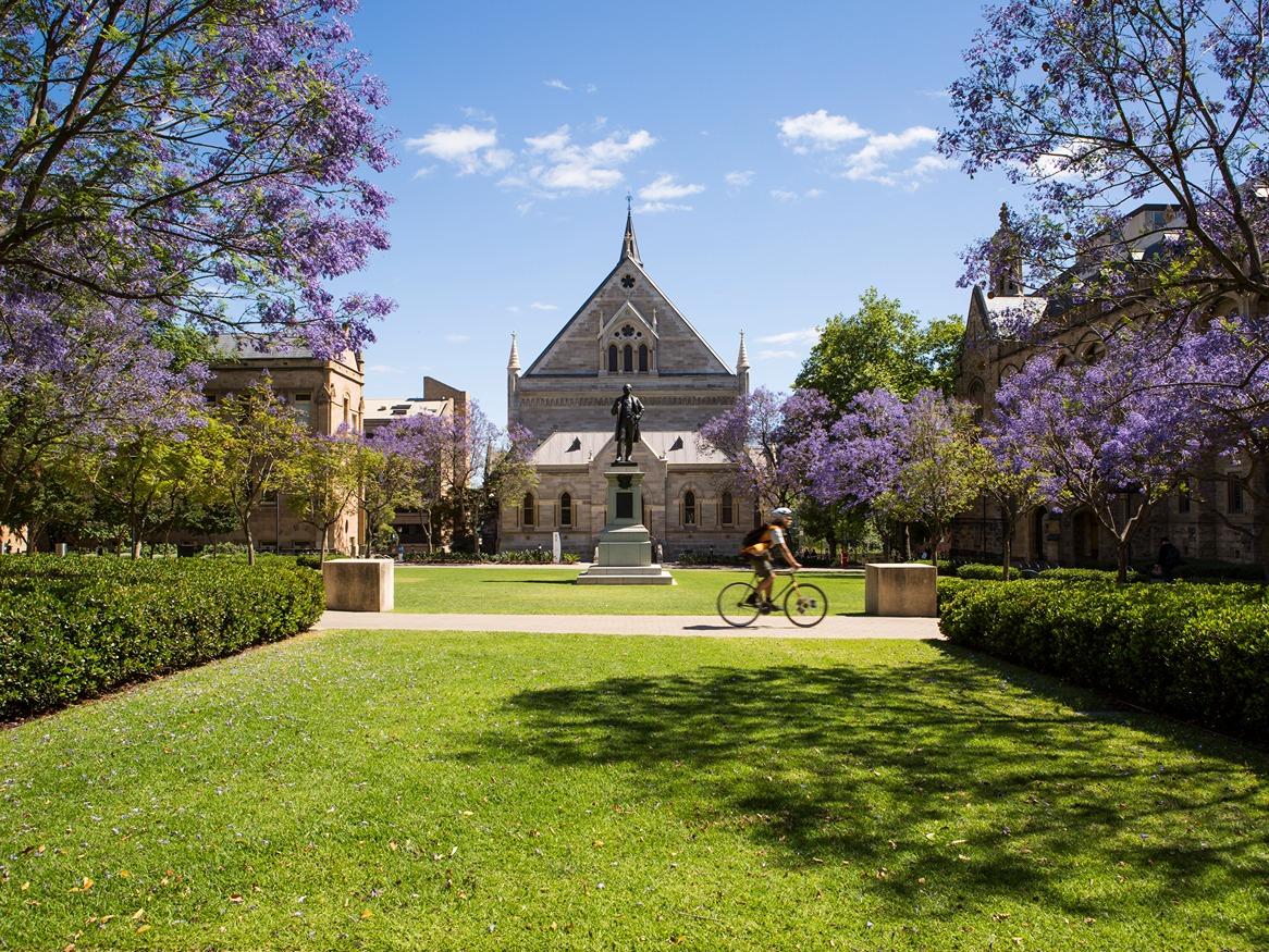 North Terrace Campus